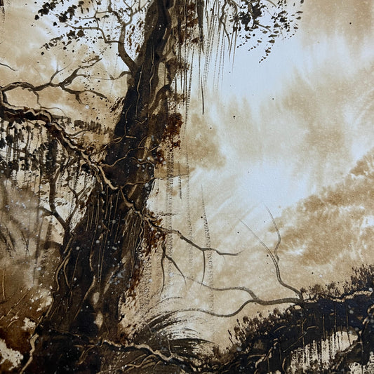 Rayon des lumières Etru.fr