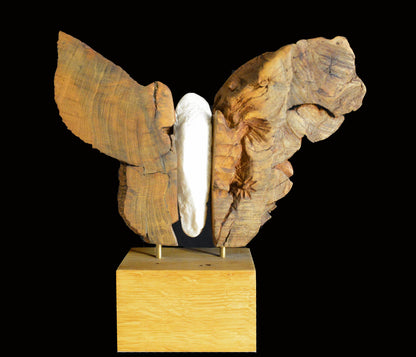 Papillon